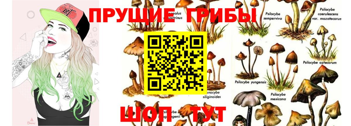 Галлюциногенные грибы MAGIC MUSHROOMS  Вход с VPN  Ржев  Галлюциногенные грибы мицелий 